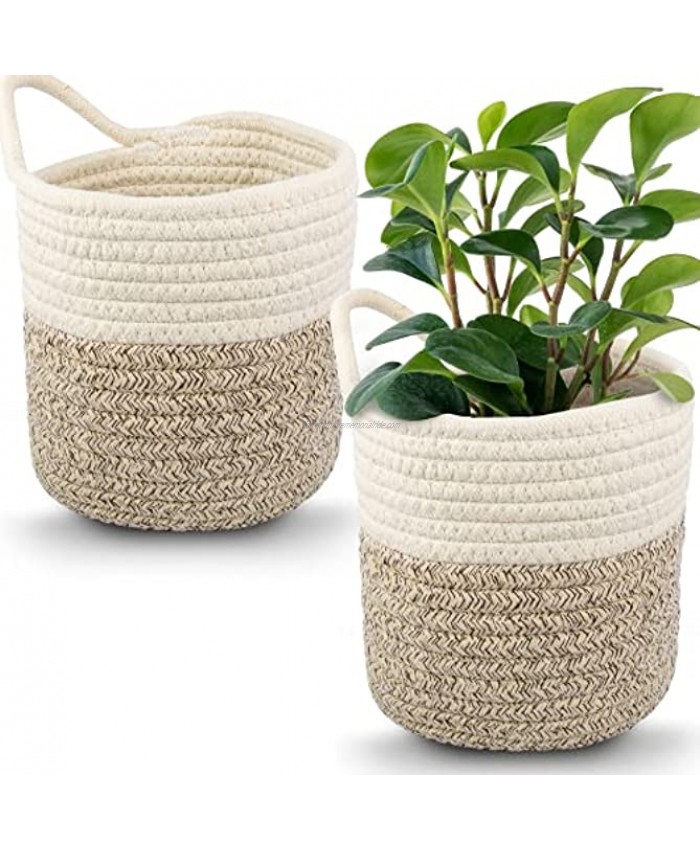 Hanging Woven Wall Basket Small Hanging Basket for Farmhouse Wall Decor Cotton Rope Baskets Hanging Storage Baskets for Farmhouse Decor Hanging Baskets for Organizing Hanging Wall Basket