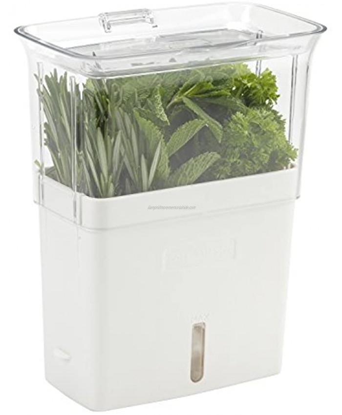COLE & MASON Fresh Herb Keeper Container Clear