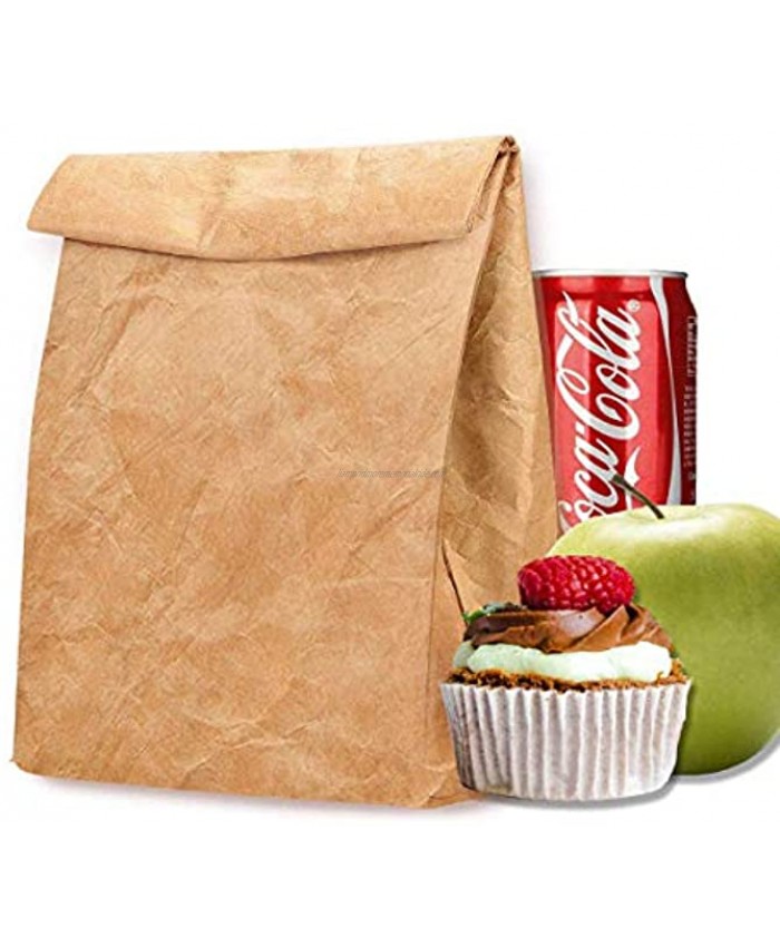 Eco Lunch Bag Tyvek Lunch Box for Women Man Reusable Freezable Brown Paper Snack bags for Work Picnic School